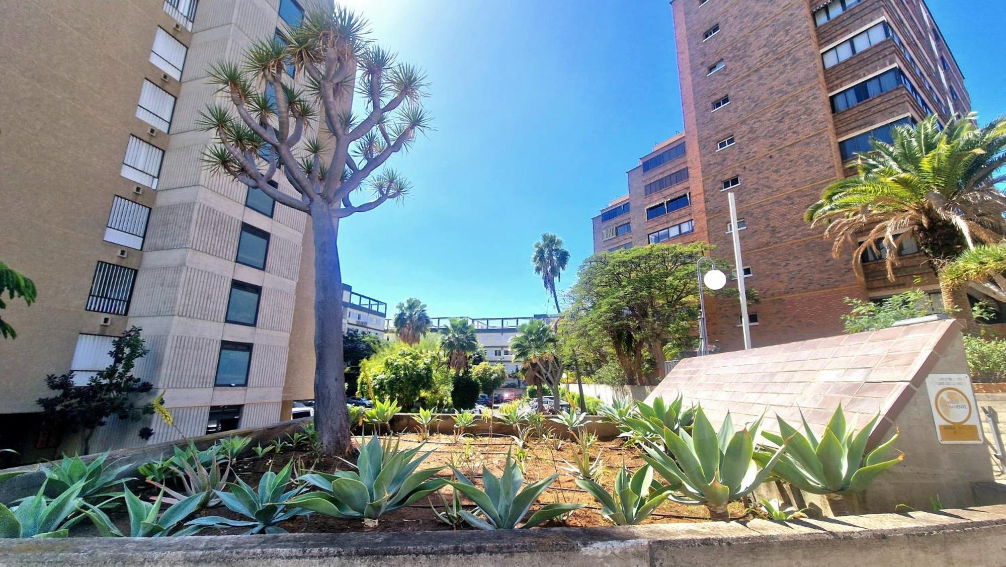 Apartamento Oroval Residencial Anaga サンタクルスデテネリフェ エクステリア 写真